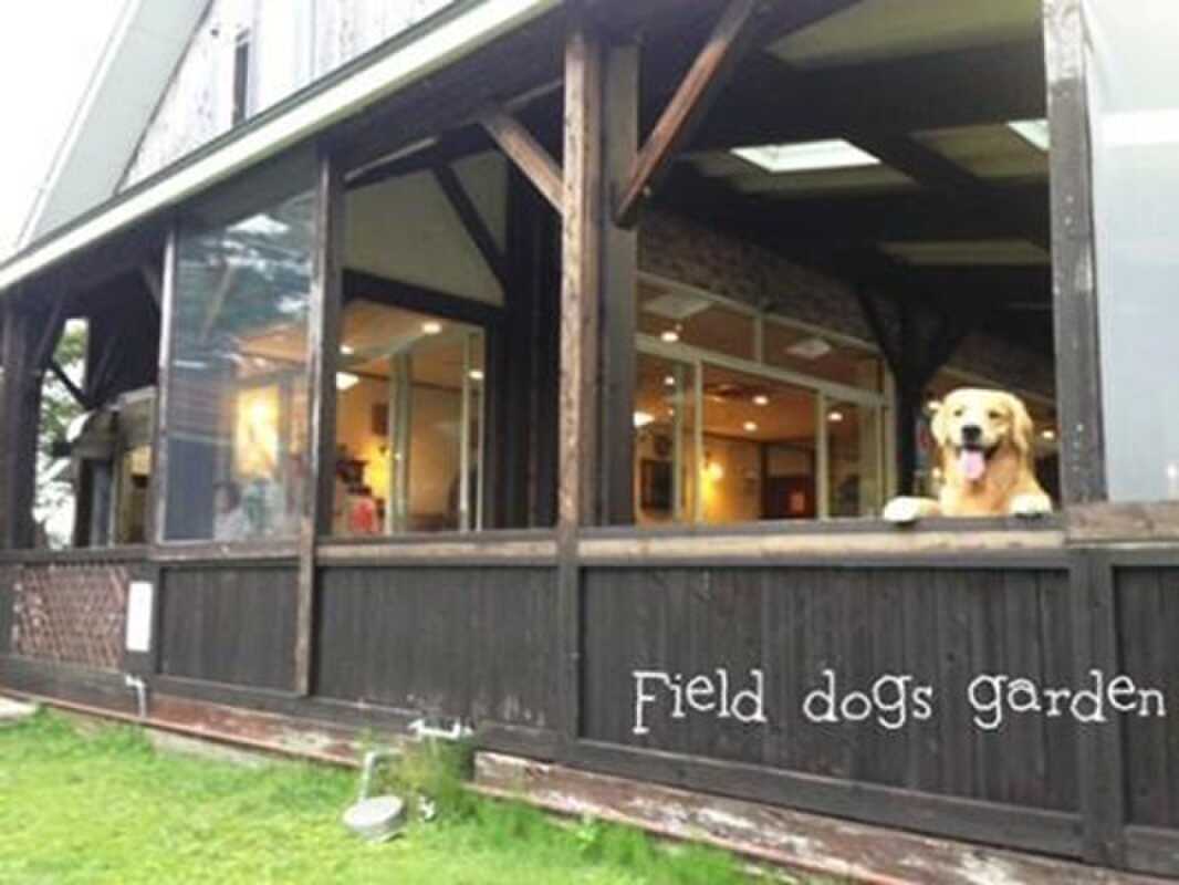 Field Dogs Gardenの写真 4枚目