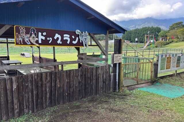 もちやキャンプ場の写真 5枚目