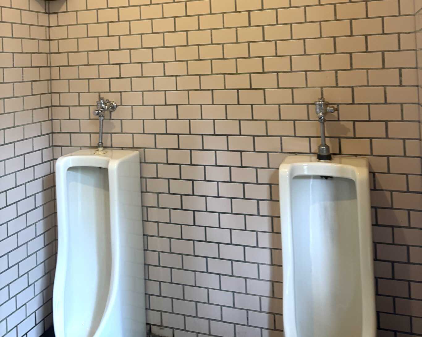 西富士オートキャンプ場 photo 5