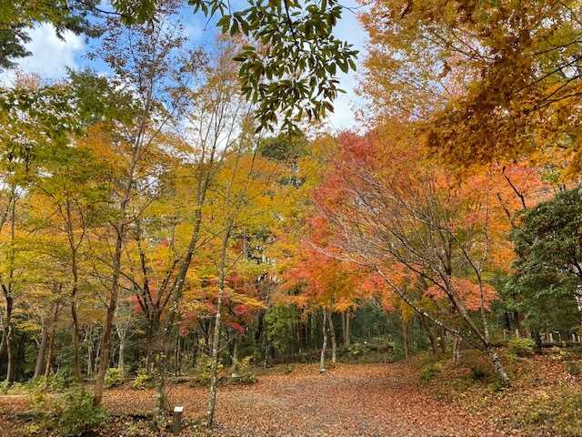 VOLCANO 白糸オートキャンプ場の写真 4枚目