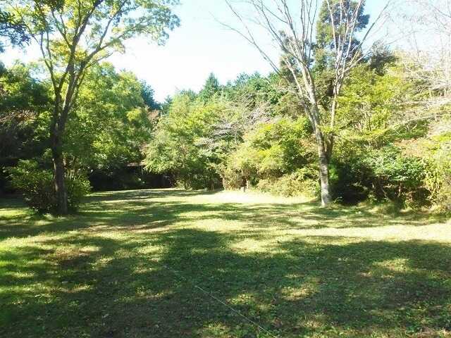 新富士オートキャンプ場の写真 2枚目