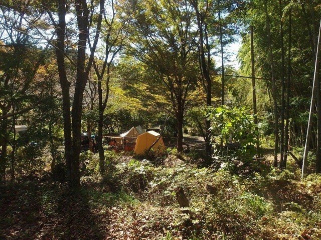 新富士オートキャンプ場 photo 4