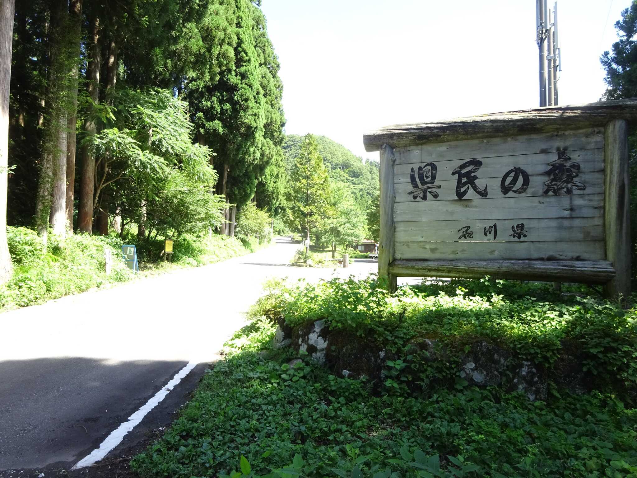 石川県県民の森