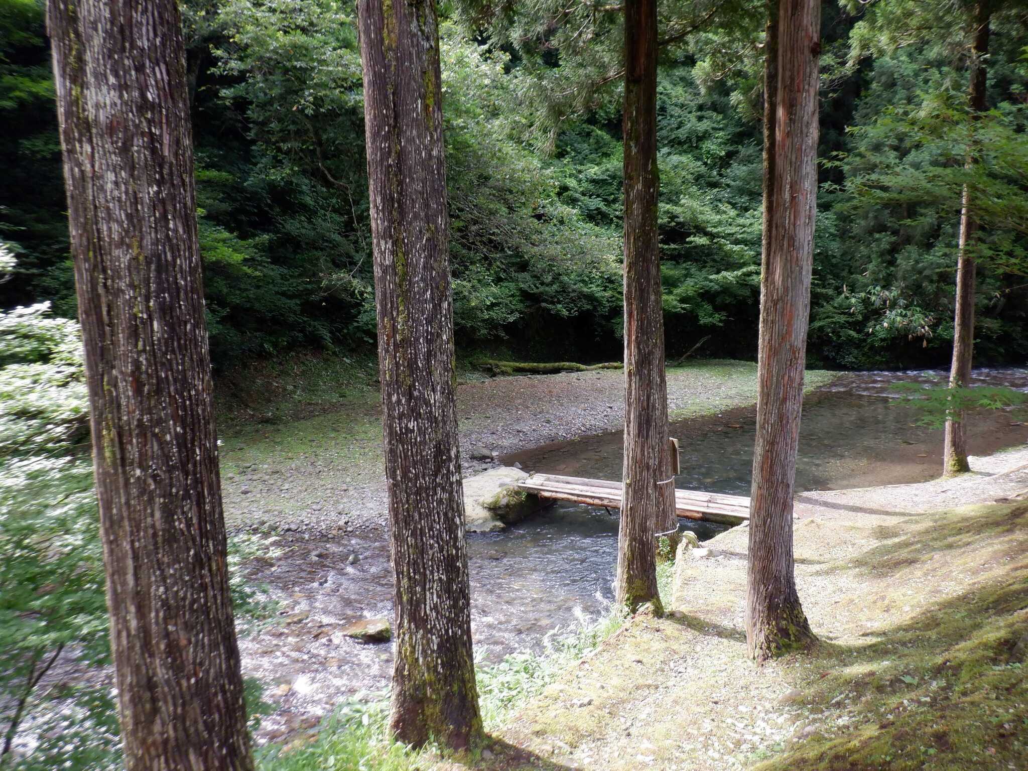 石川県県民の森