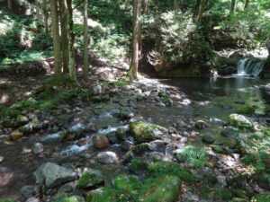 石川県県民の森