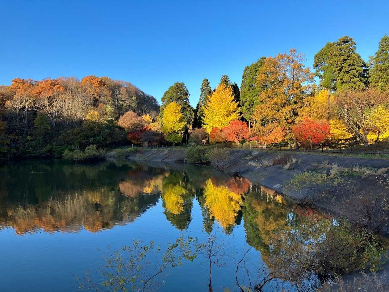 石川県森林公園三国山キャンプ場