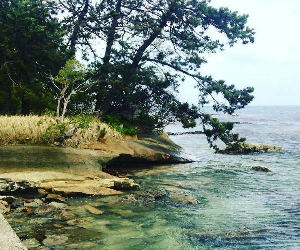 勝尾崎自然教育こどもキャンプ場の写真 2枚目