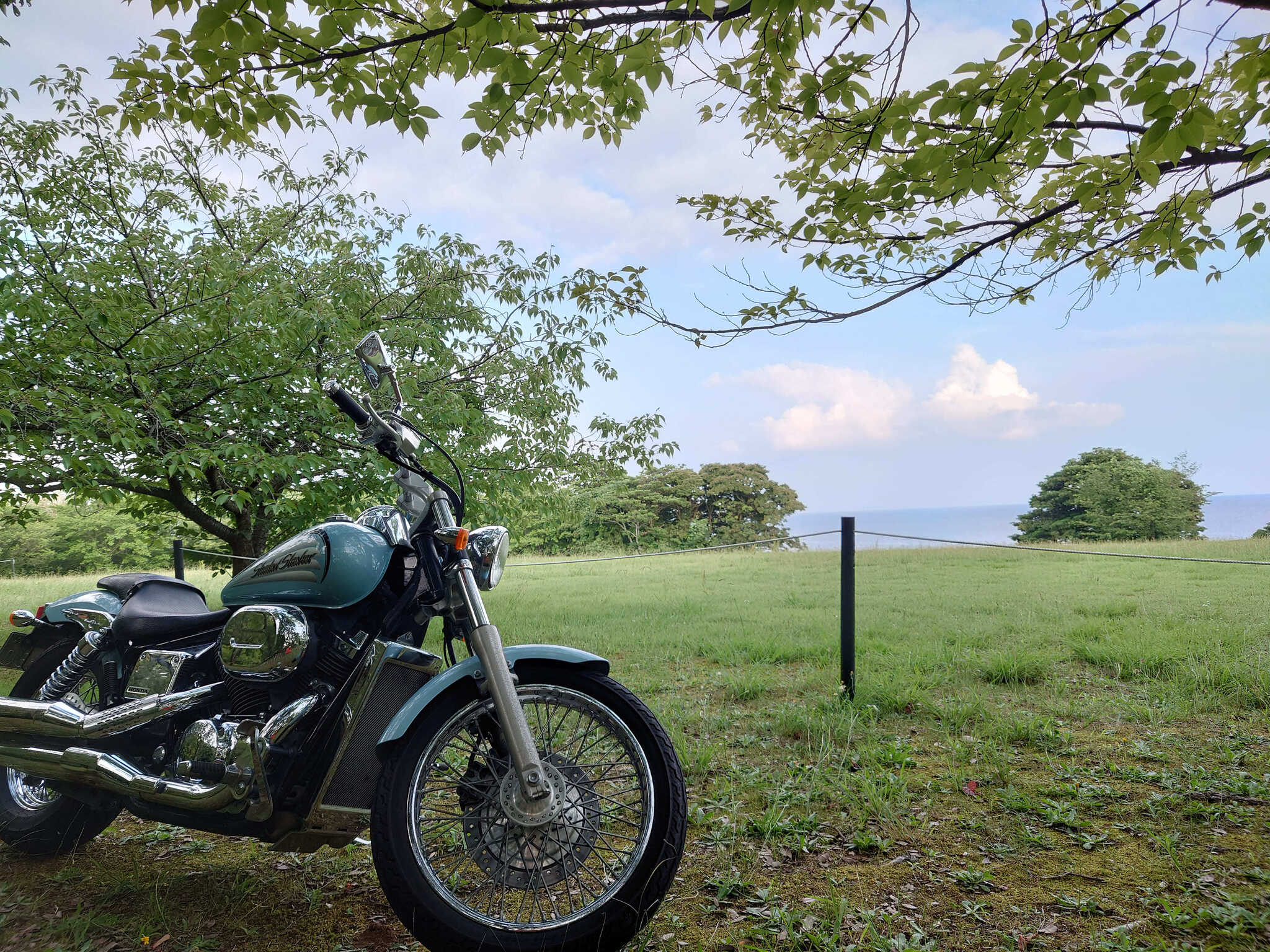 九十九湾園地キャンプ場