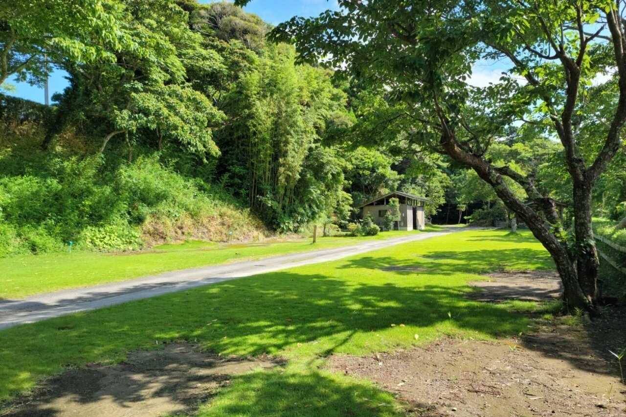 ワイルドキッズ岬オートキャンプ場