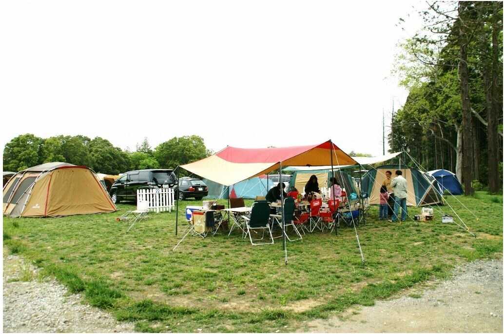 Camp field MARC WEST