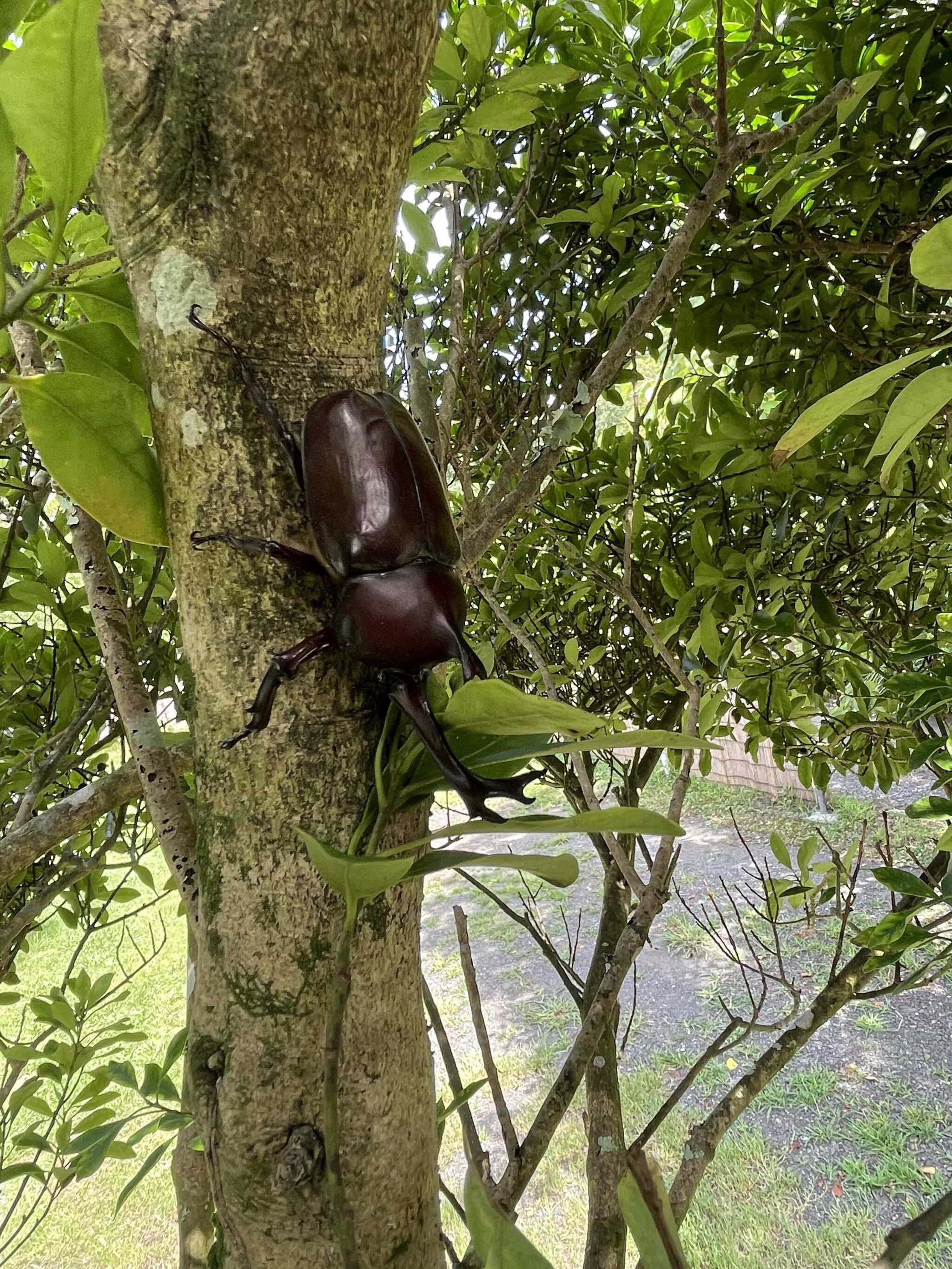 キャンピングヒルズ鴨川の写真 3枚目