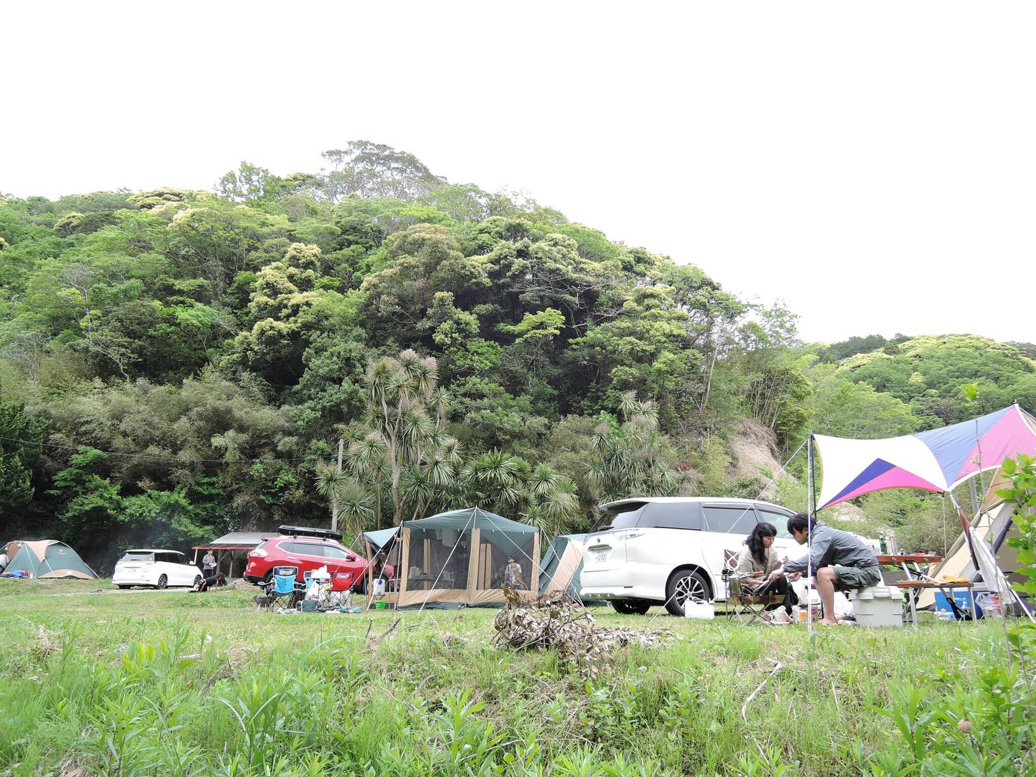 【R2/7現在閉鎖中】コーラル*館山オートキャンプ場(旧:館山フォレストキャンプ場)の写真 4枚目