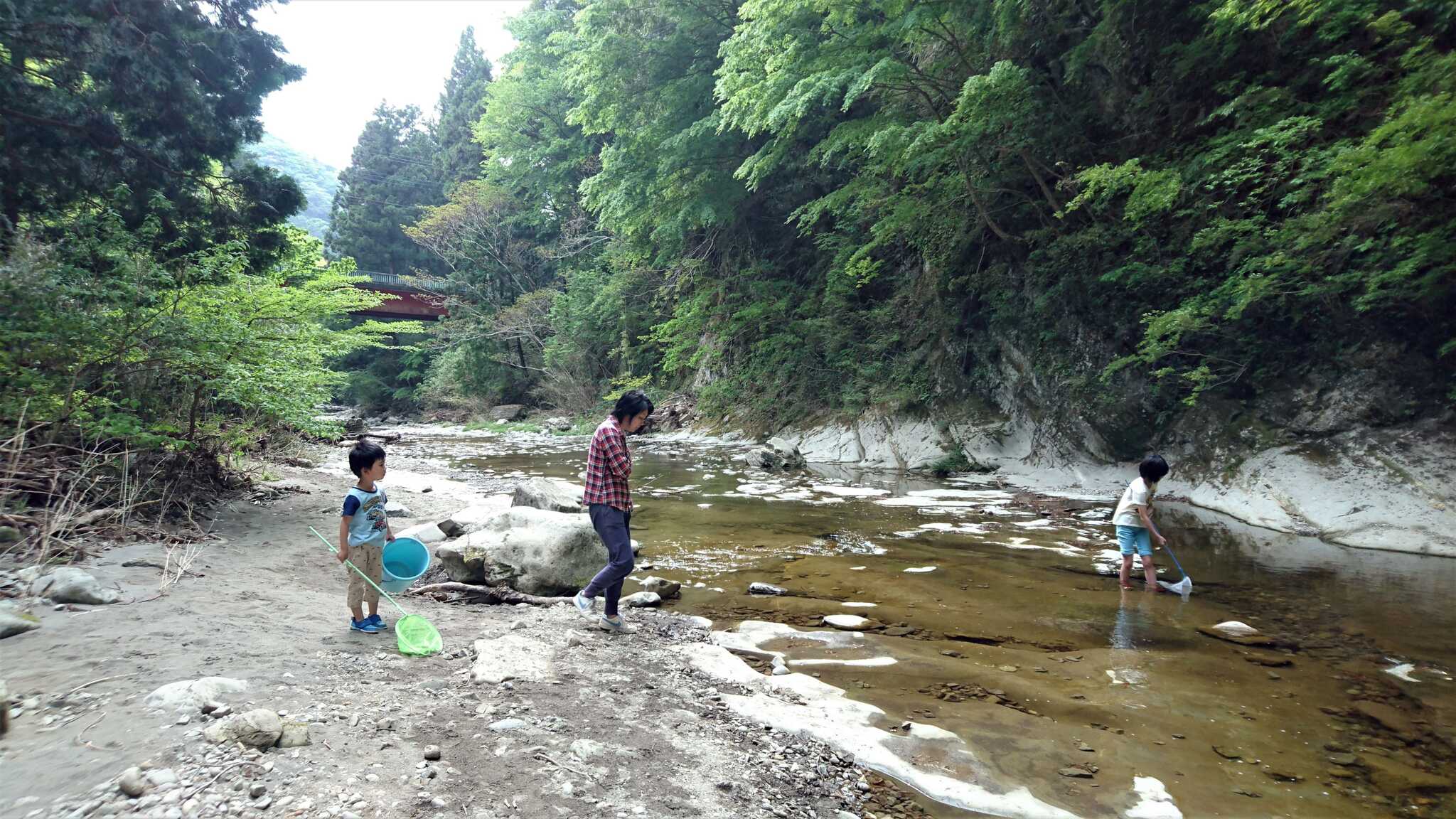 大自然の川辺で水中生物観察や川辺の絶景を楽しみませんか?