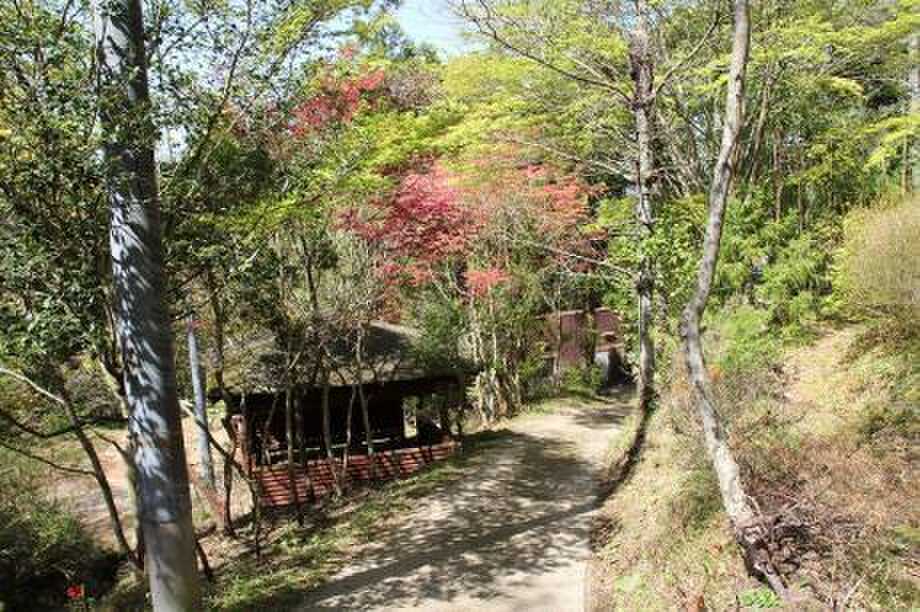 フォレストパーティー峰山の写真 3枚目