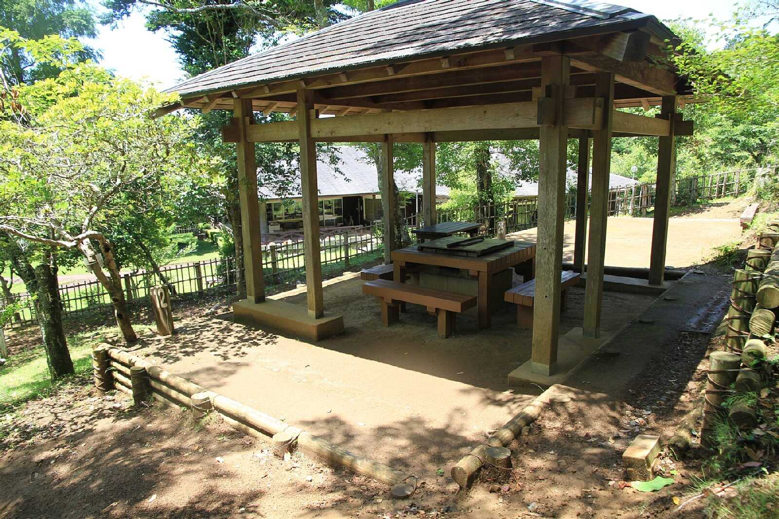 千葉県立 清和県民の森の写真 4枚目