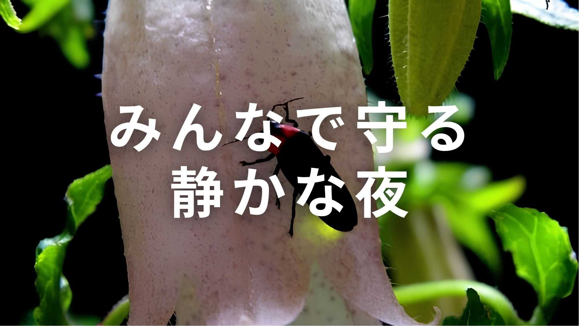 22時消灯・就寝ルールを徹底。みんなで思いやりを持ち、静けさと星空を大切に守るアットホームな環境です。