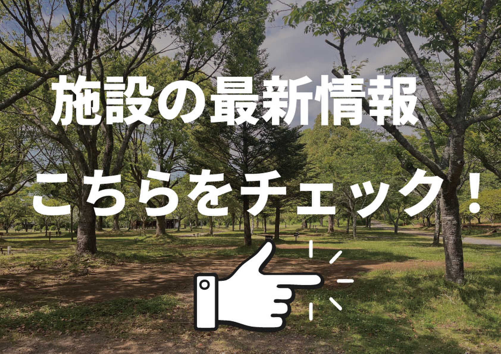 キャンプ場スタッフ