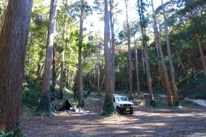 オレンジ村オートキャンプ場の写真 3枚目