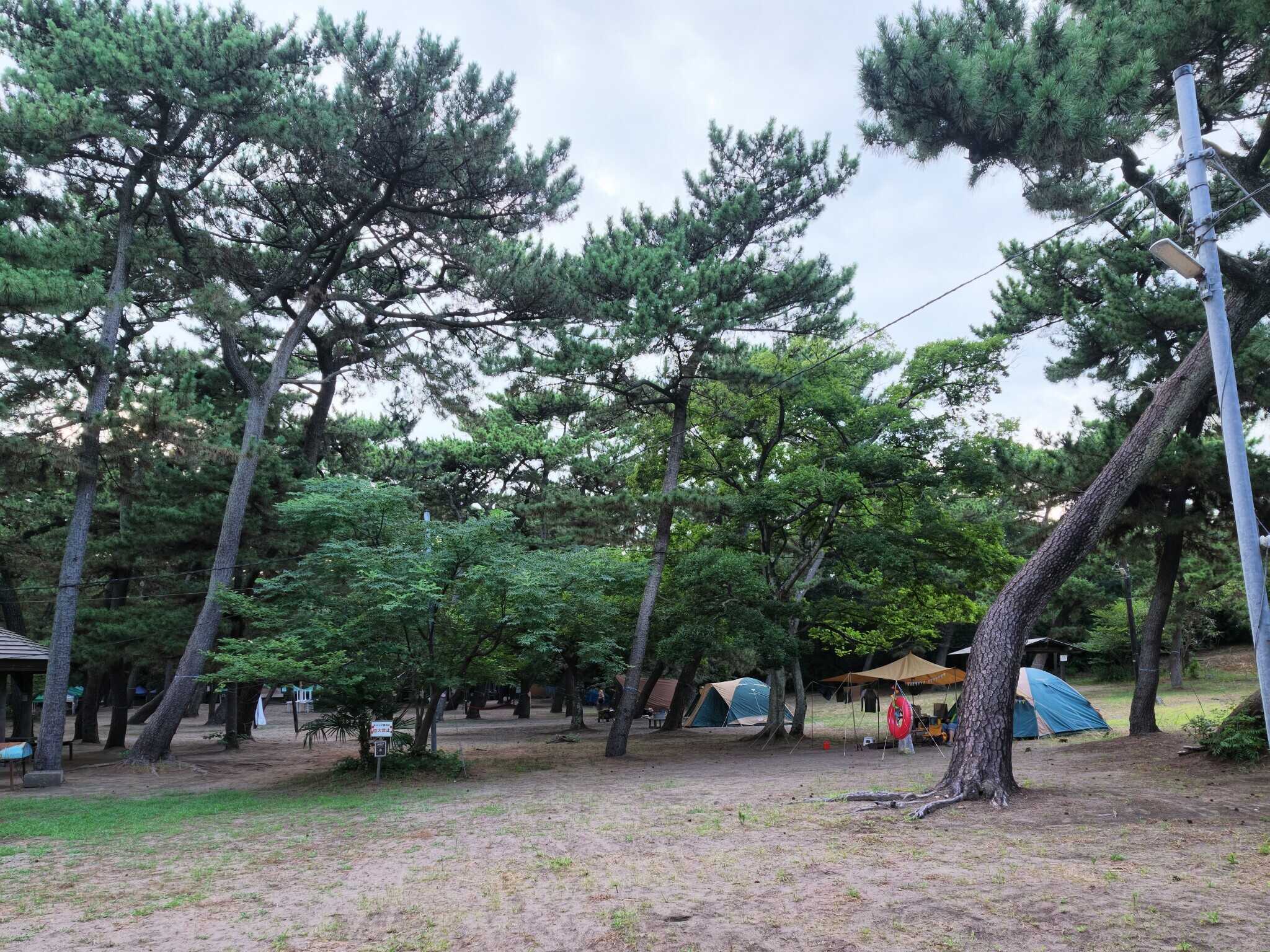 富津公園キャンプ場
