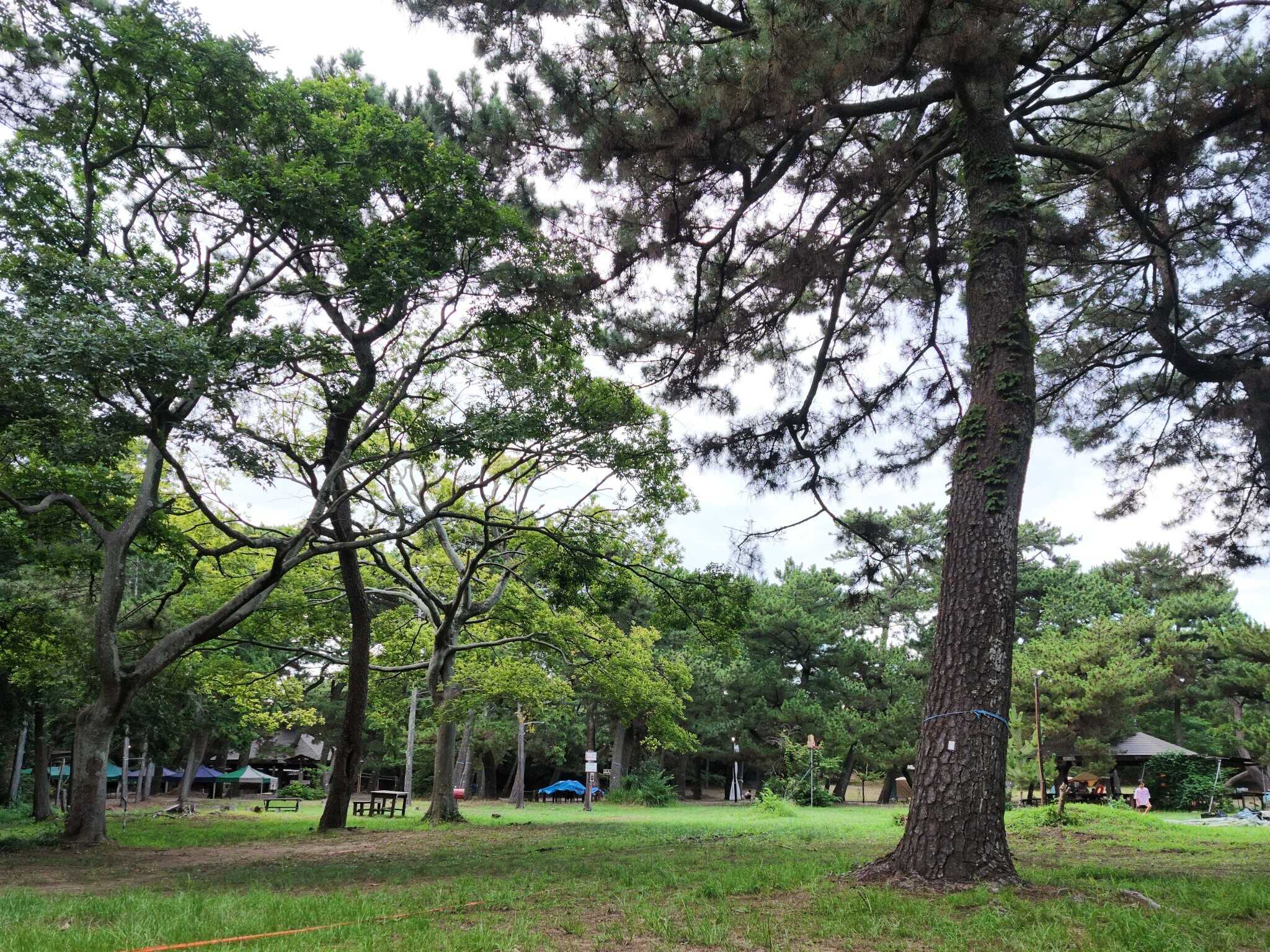富津公園キャンプ場