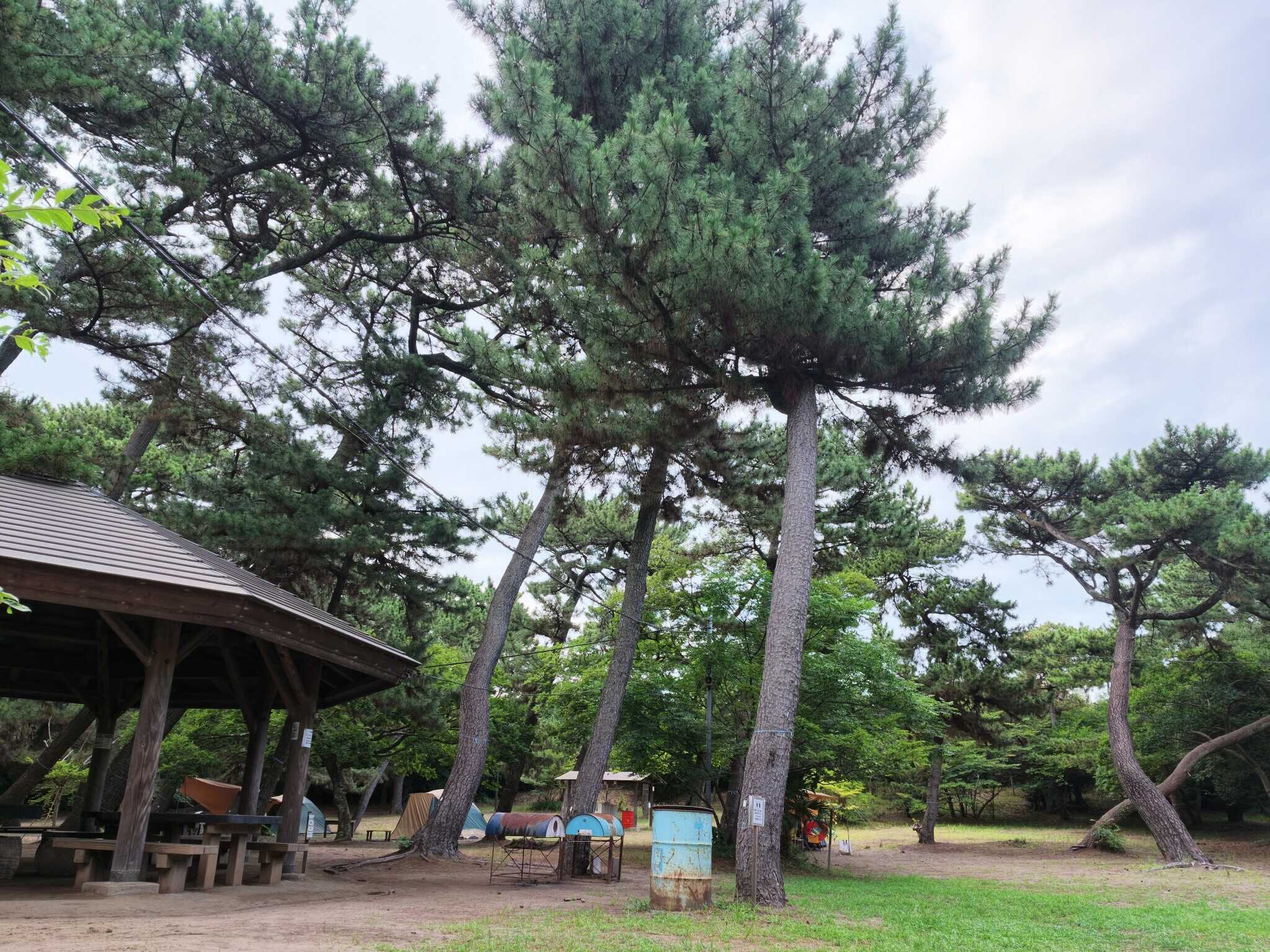 富津公園キャンプ場