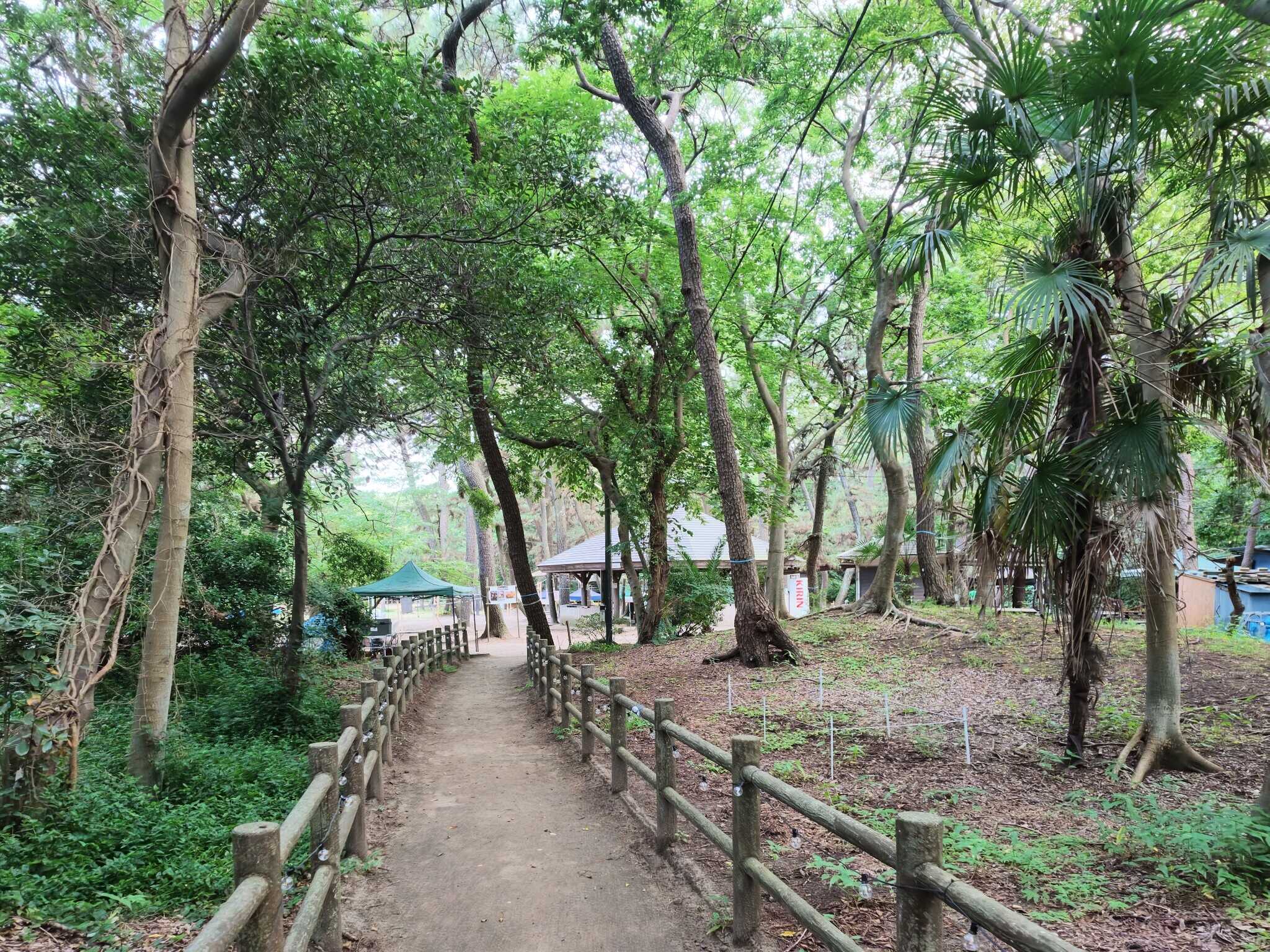 富津公園キャンプ場