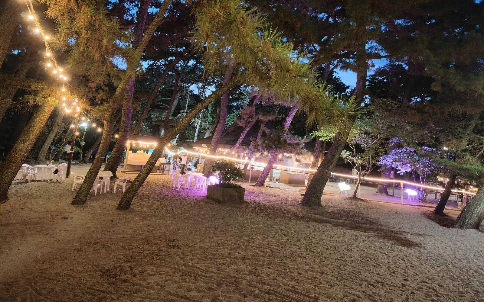 富津公園キャンプ場