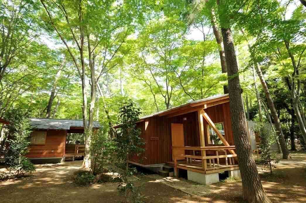 清水公園 キャンプ場