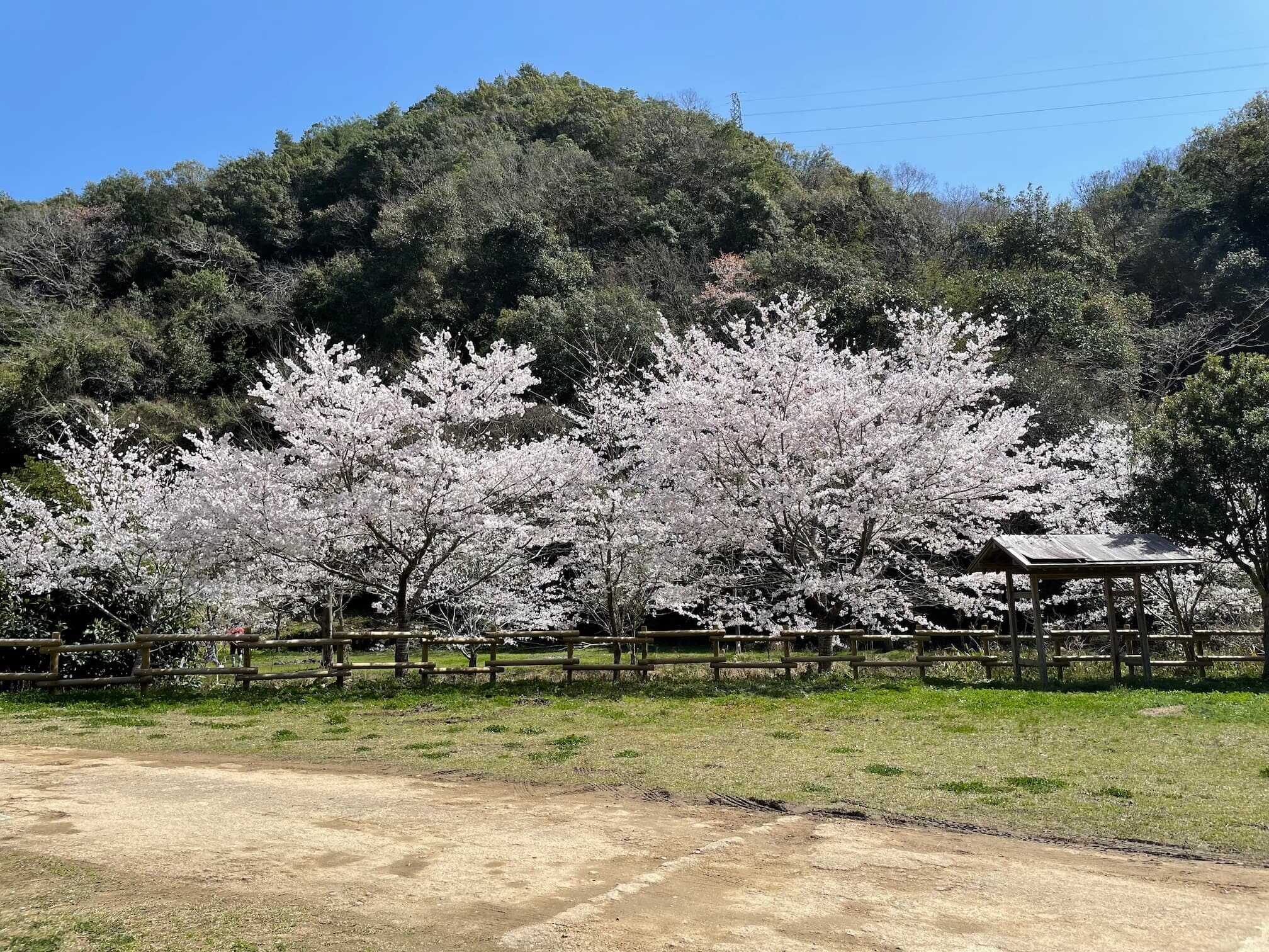 紀泉わいわい村 FUNNY HEARTHの写真 5枚目