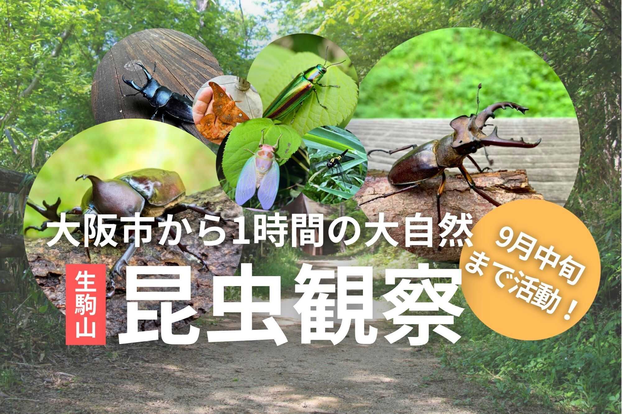東大阪市立野外活動センター by RECAMP