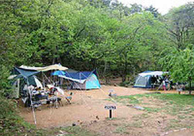 地面は山土で、どこもほとんどフラットに整地しています。土なので水はけは良好で、少々の雨では水溜りもできません。