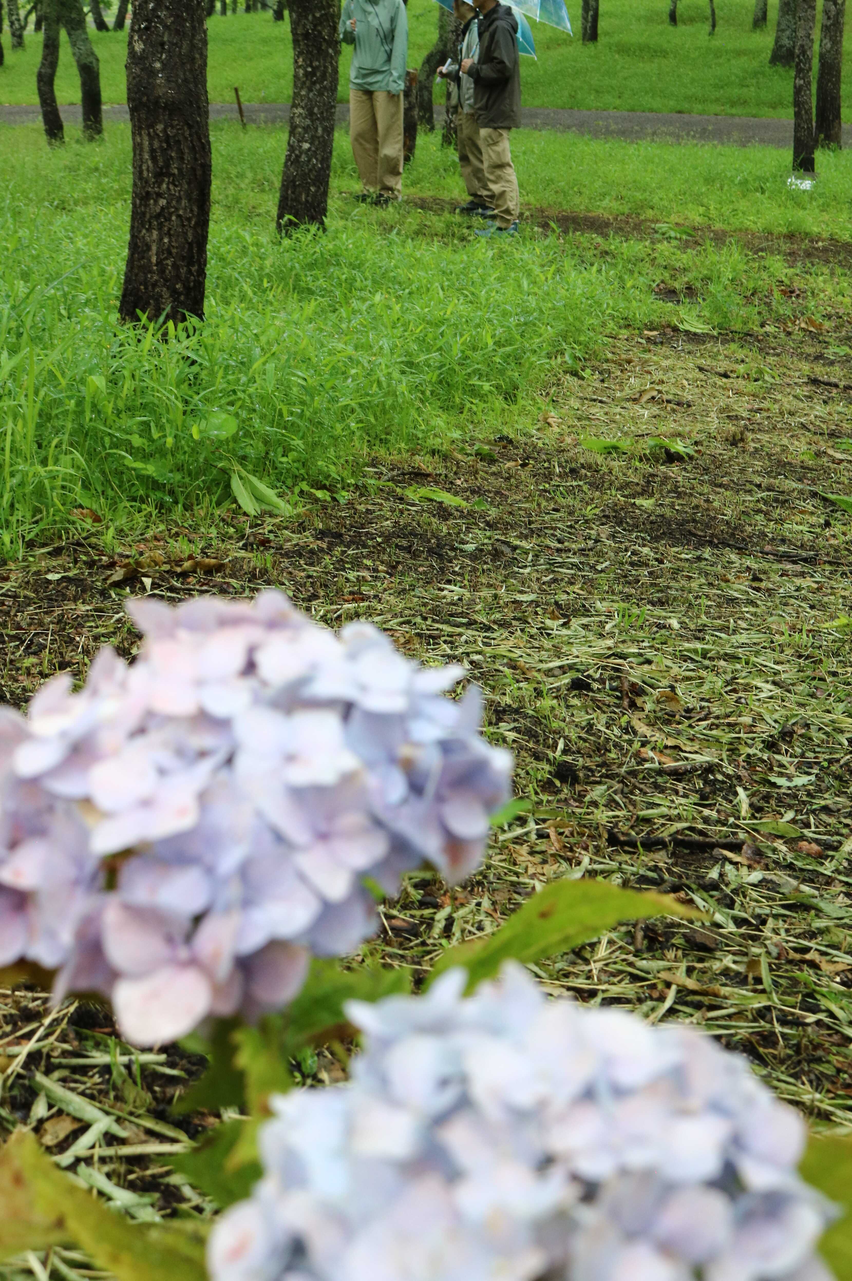 今の時期ならではの景色をお楽しみください♪
