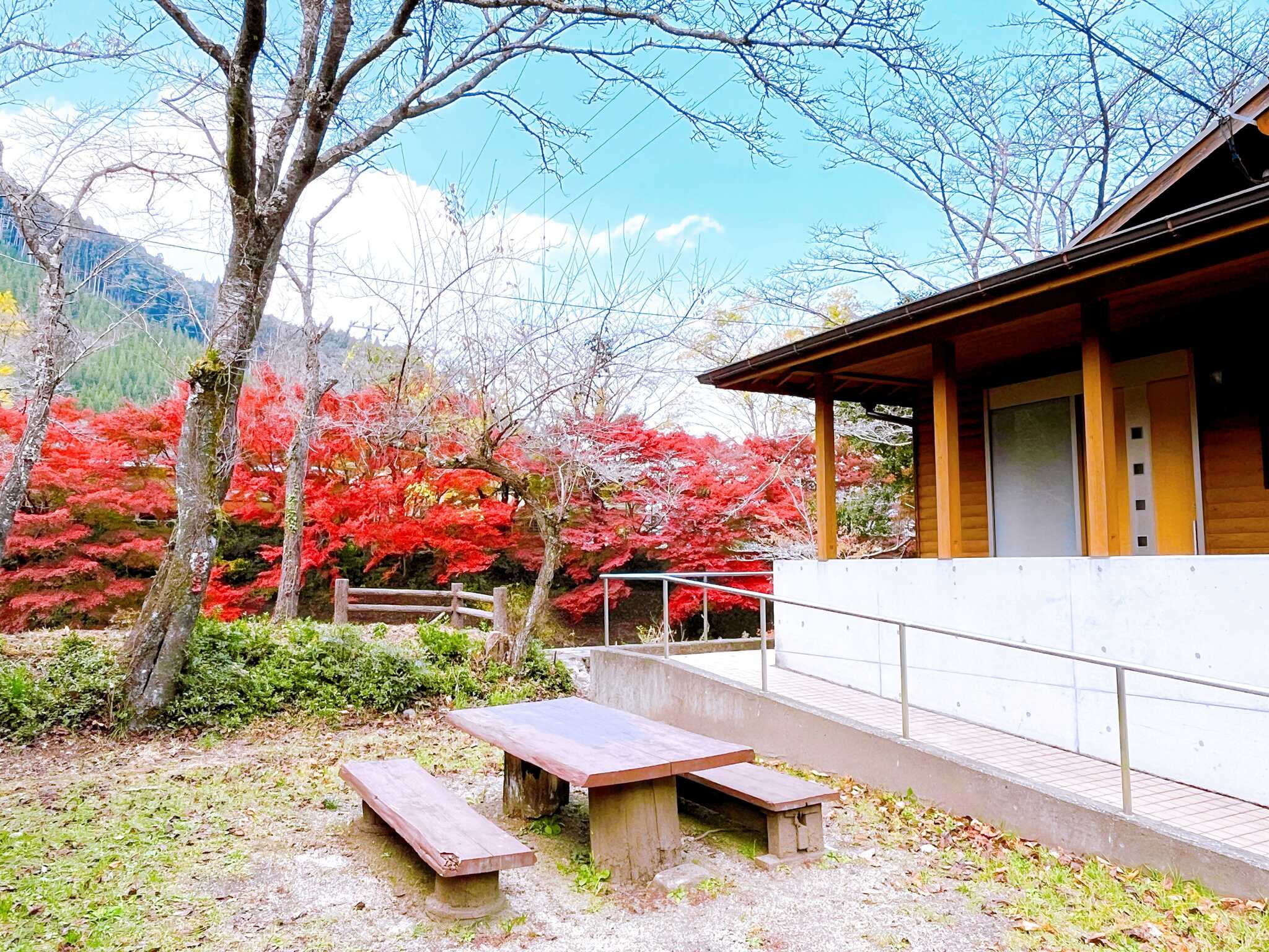直川憩の森公園の写真 1枚目