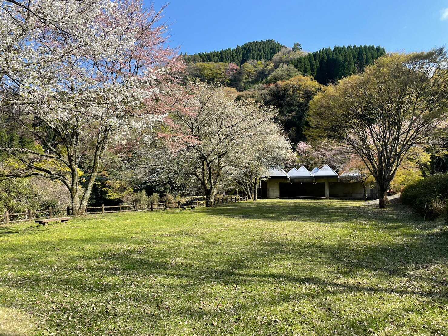 陽目の里キャンピングパーク