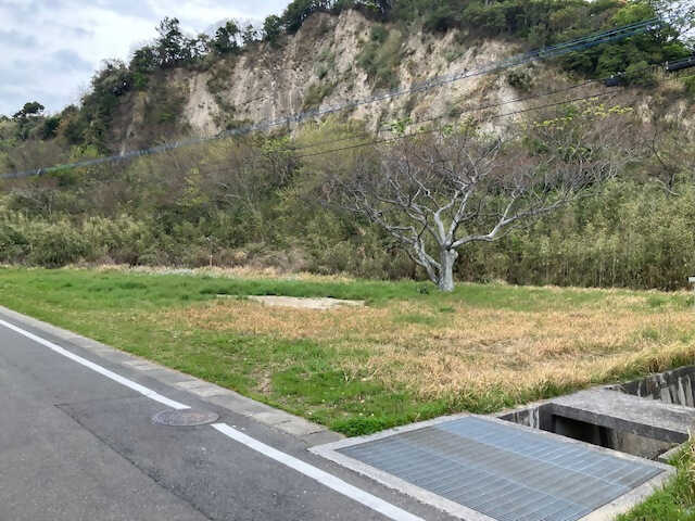 姫島海水浴場キャンプ場 photo 5