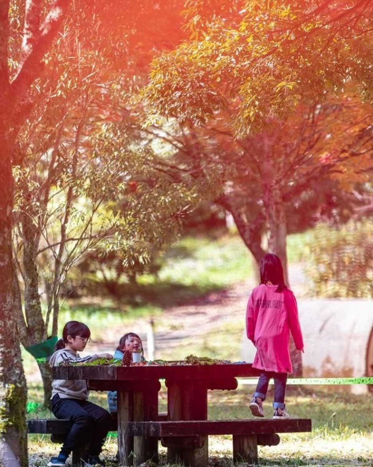 鯛生家族旅行村の写真 2枚目