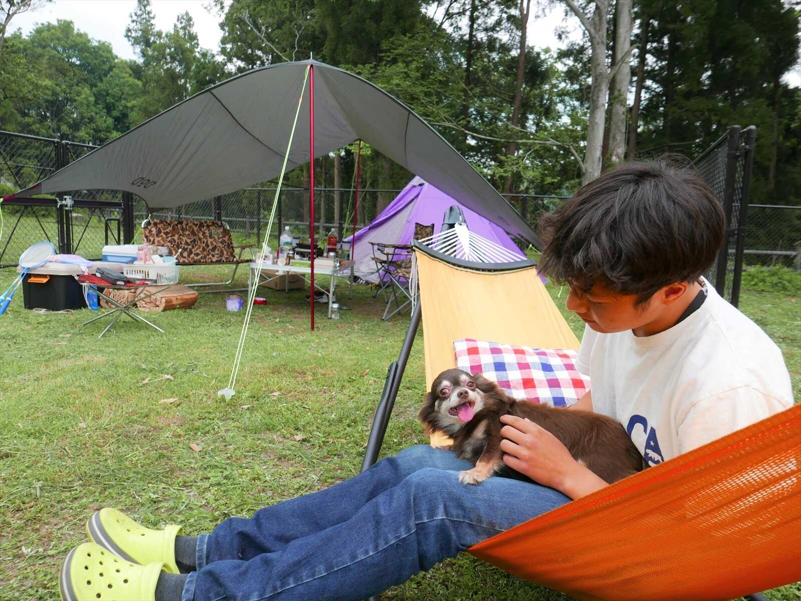 リバーパーク犬飼の写真 5枚目