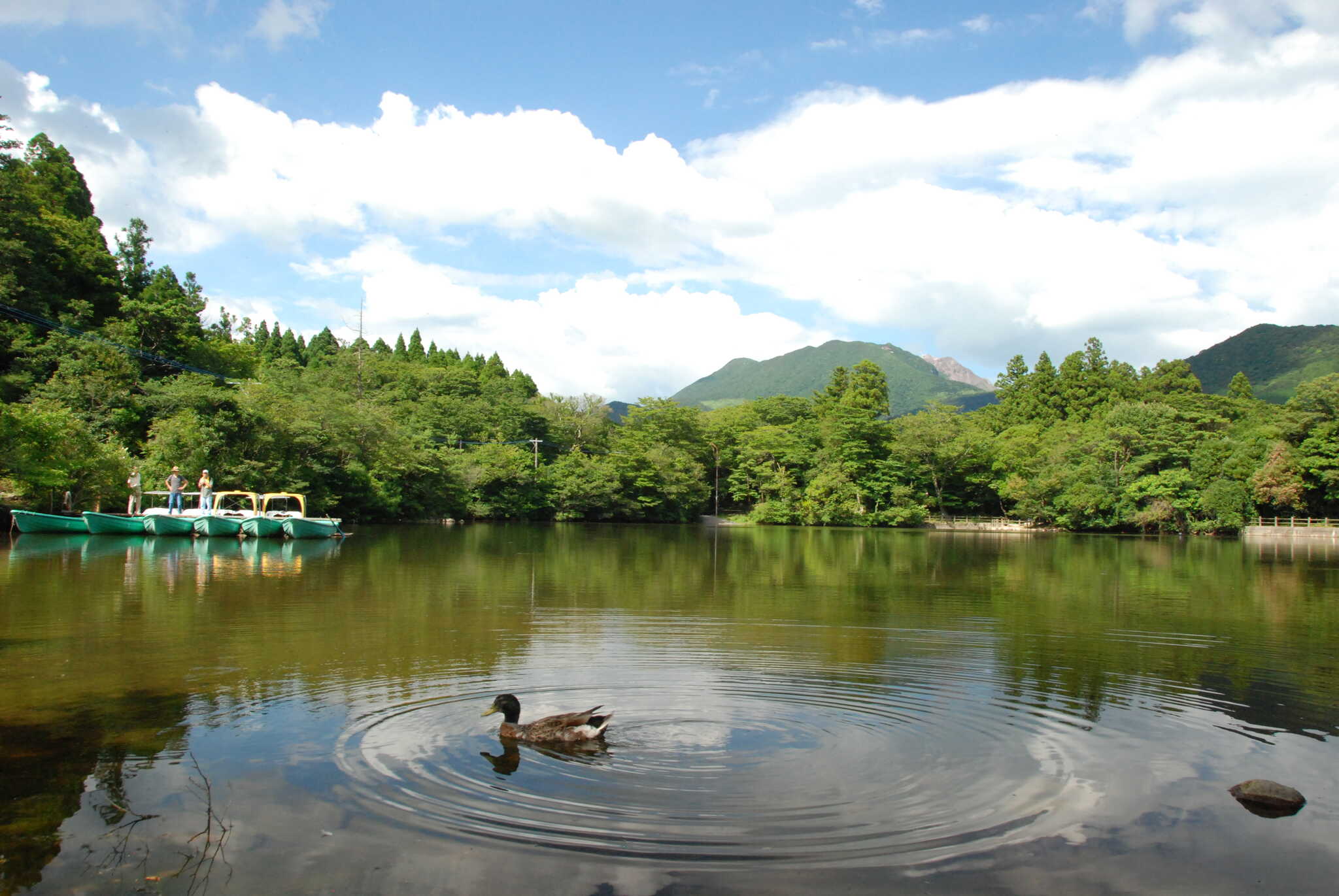 雲仙白雲の池キャンプ場