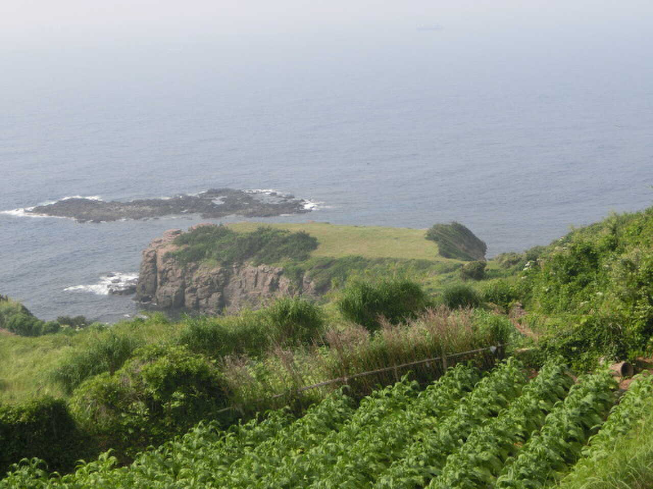 天の原キャンプ場