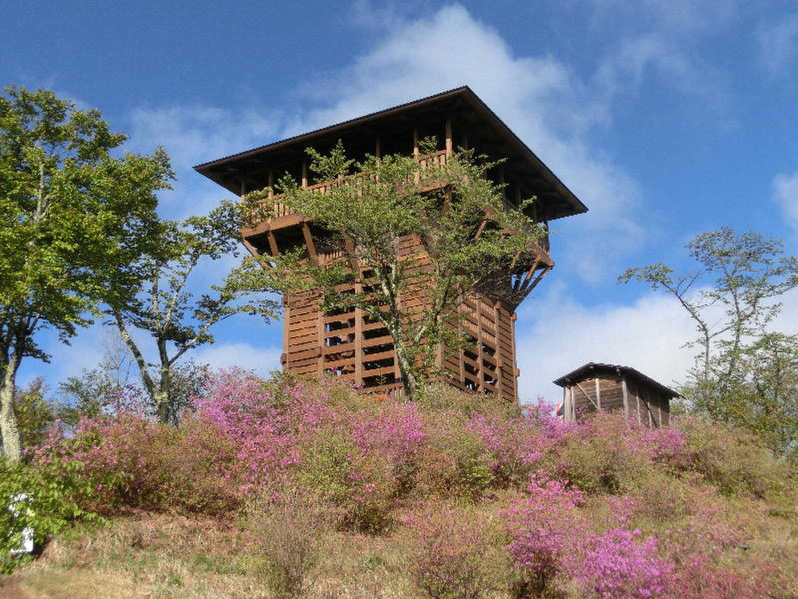 天平の森オートキャンプ場