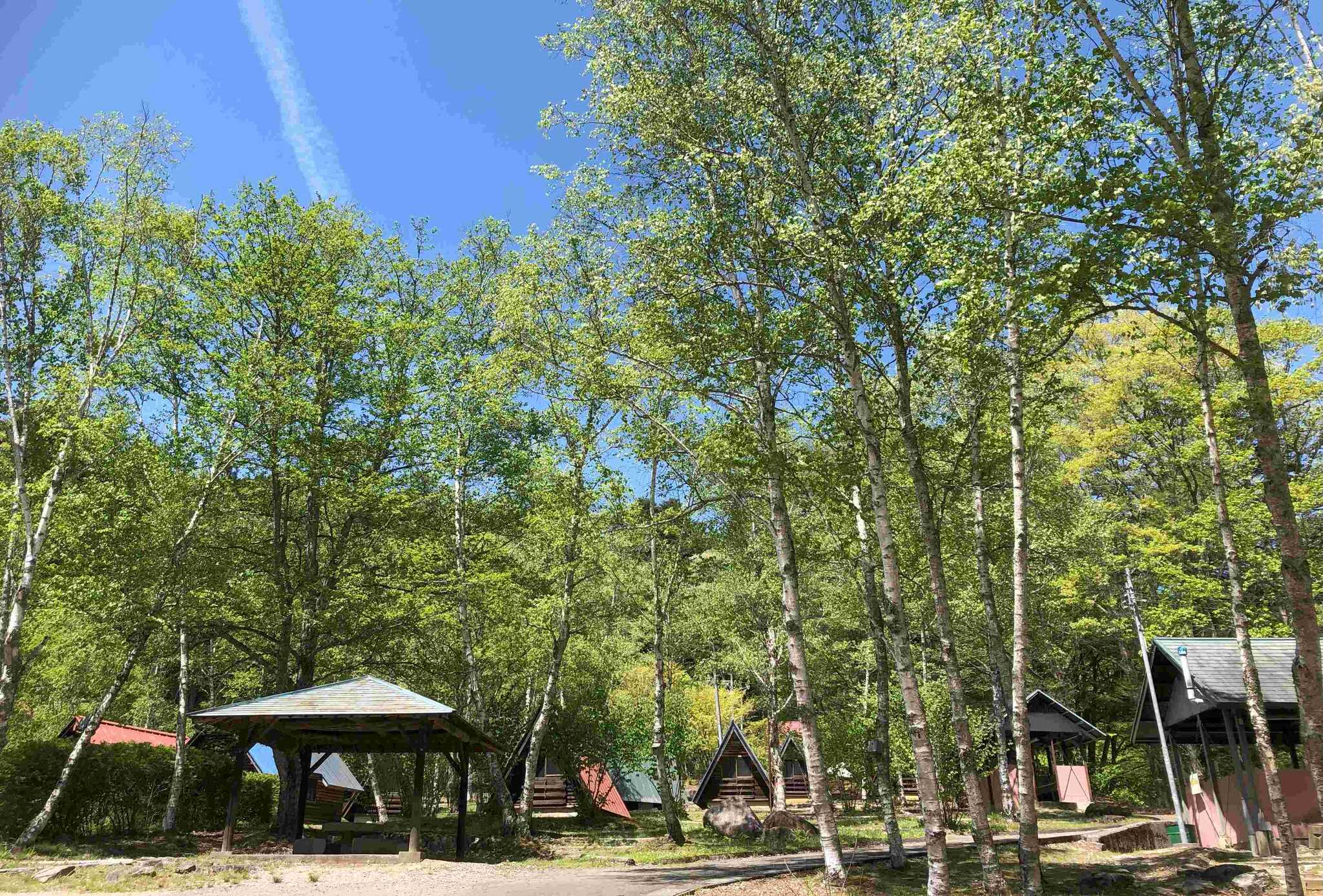 ふるさと村自然園 せいなの森キャンプ場の写真 3枚目