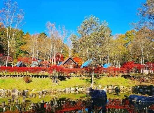 ふるさと村自然園 せいなの森キャンプ場の写真 4枚目