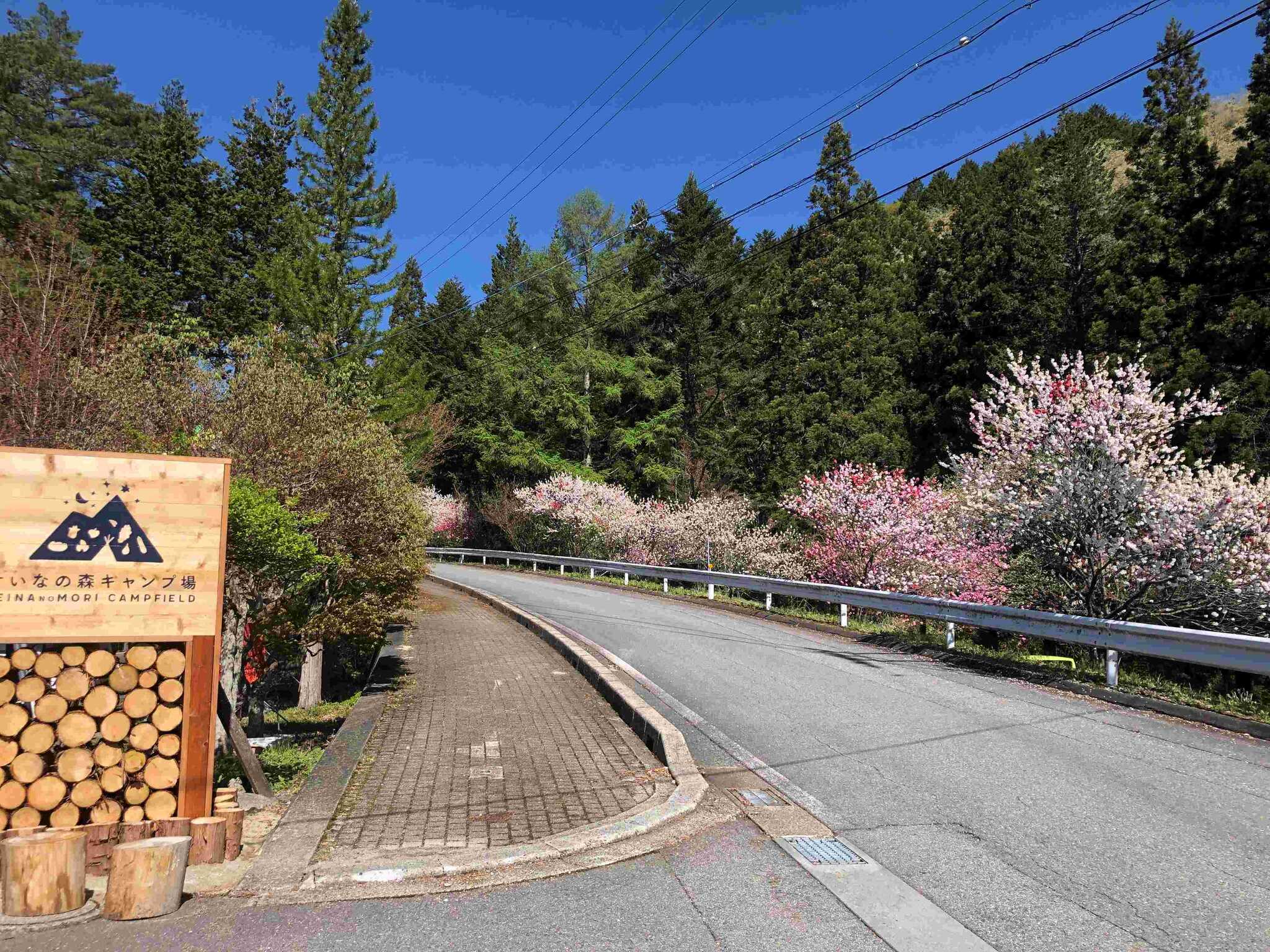 ふるさと村自然園 せいなの森キャンプ場の写真 2枚目
