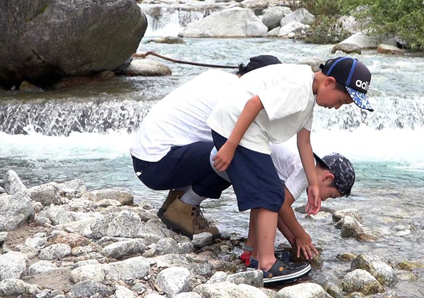 弓の又キャンプ場の写真 4枚目