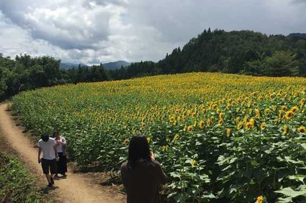 池の島キャンプ場の写真 5枚目