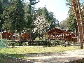 池の島キャンプ場 photo 3