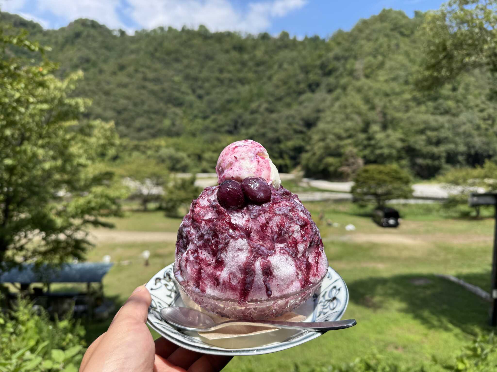 和知野川キャンプ場の写真 5枚目