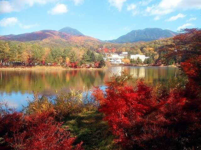 蓼の花オートキャンプ場の写真 3枚目