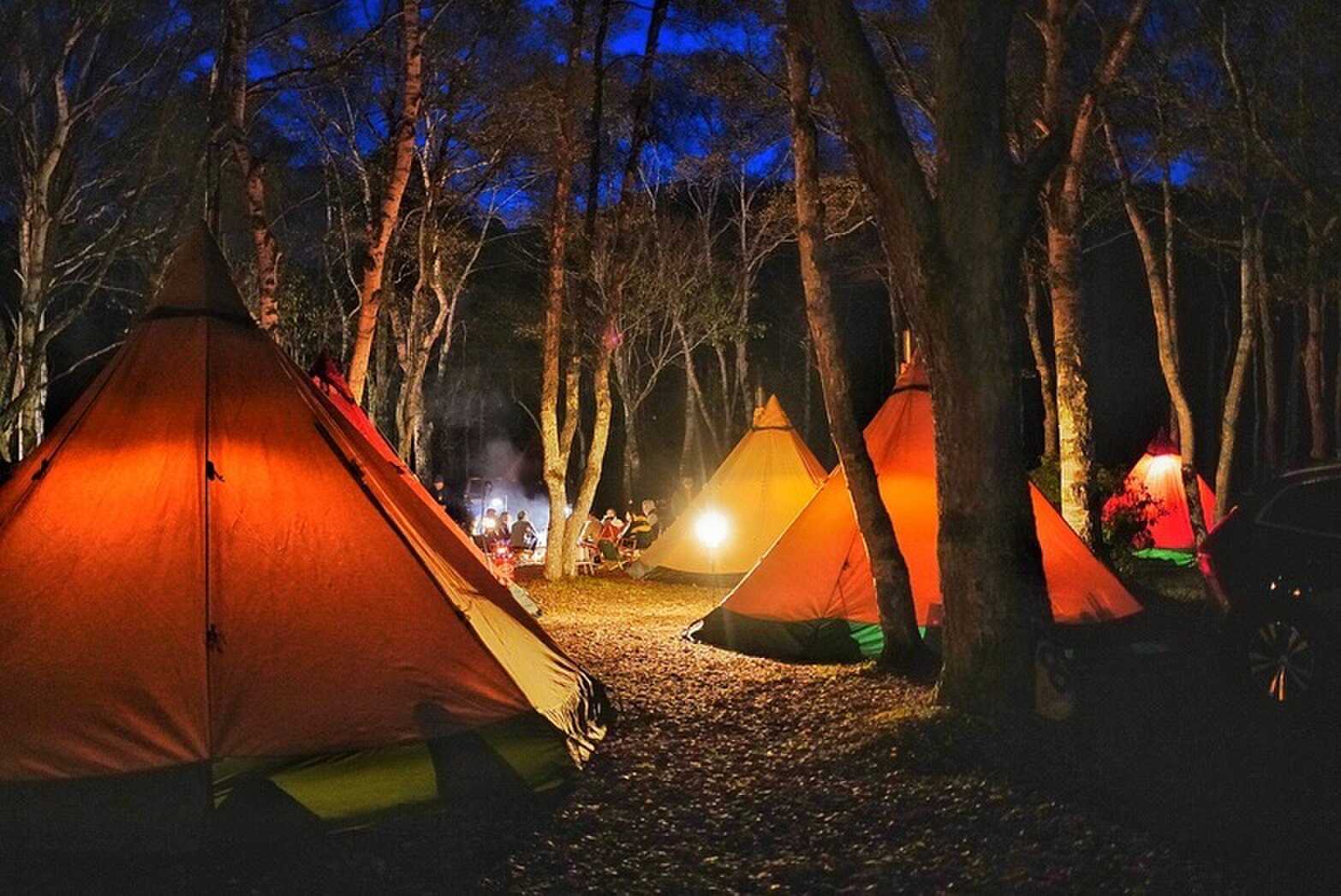 夜はゆったりとお過ごしいただけます。