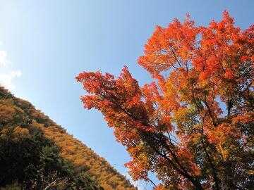 天狗温泉 浅間山荘キャンプ場